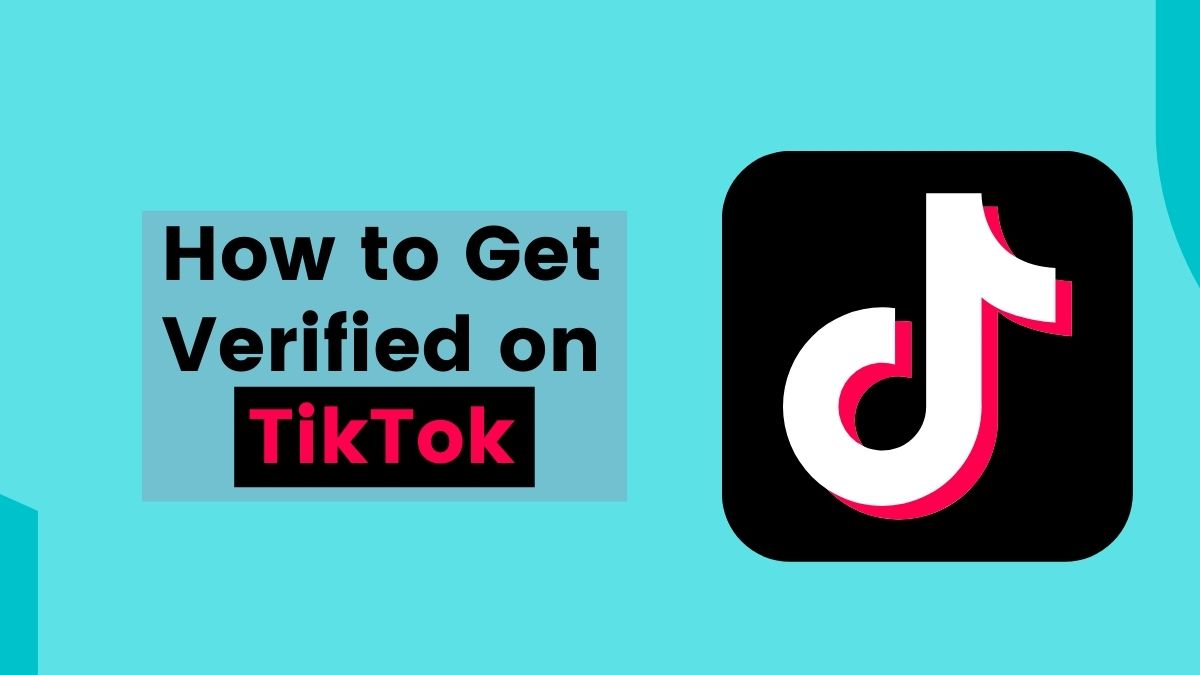 How to Get Verified on TikTok